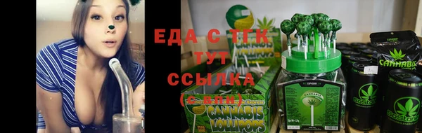 ПСИЛОЦИБИНОВЫЕ ГРИБЫ Богданович