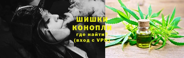 ПСИЛОЦИБИНОВЫЕ ГРИБЫ Богданович