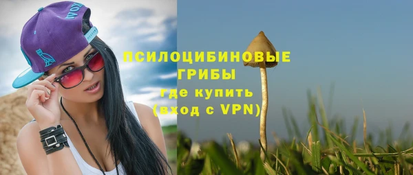 ПСИЛОЦИБИНОВЫЕ ГРИБЫ Богданович