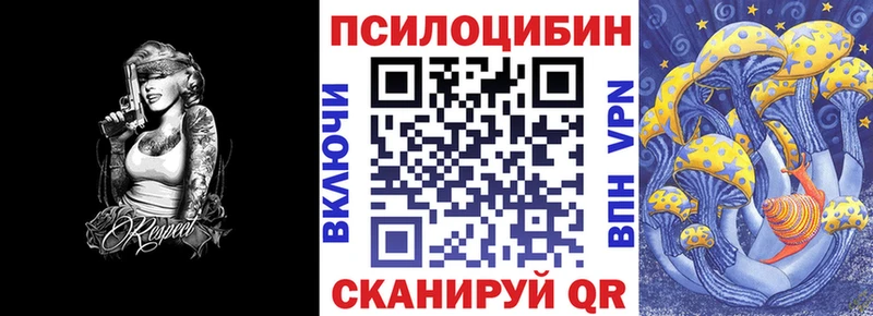 гидра как войти Великий Устюг Псилоцибиновые грибы Psilocybe цена наркотик